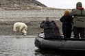 2507 Polar Bear03